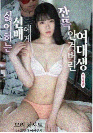 单元剧与连续剧选择归档
